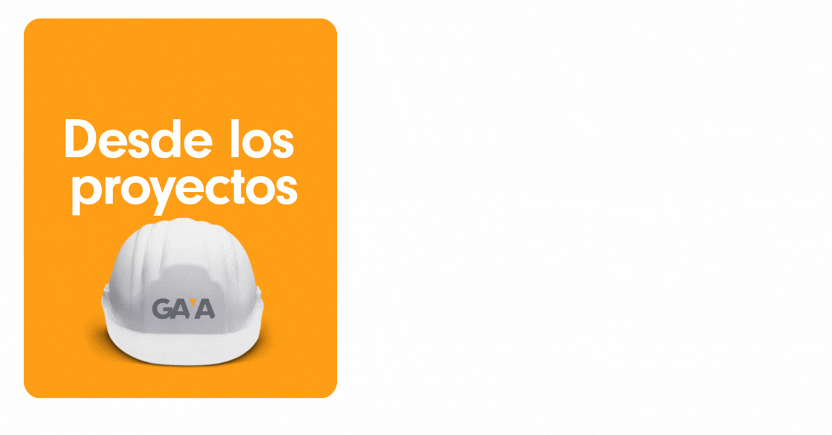 GAYA Desde los proyectos