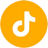 LOGO TIKTOK NARANJA