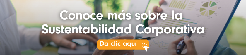 Sustentabilidad Corporativa GAYA